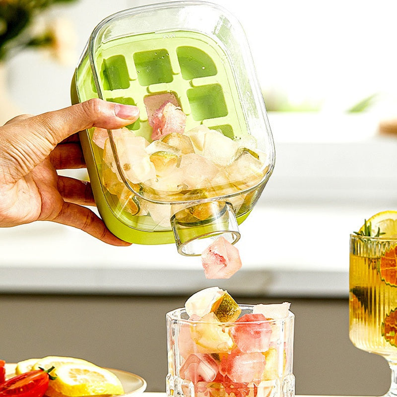 Reusable Square Fruit Ice Cube Maker Tray with Lid & Storage Bin